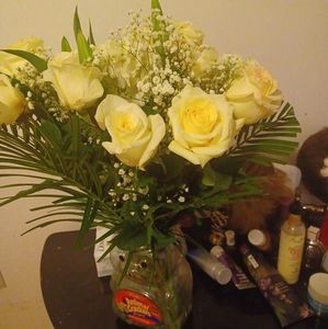 Meet your Posher, Bobbie